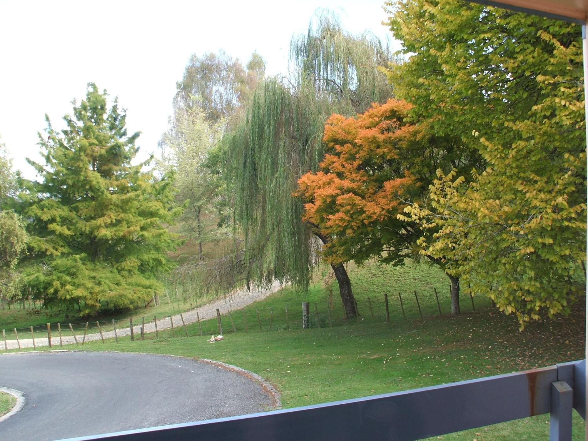 Caves Motor Inn Te Kuiti Exteriör bild